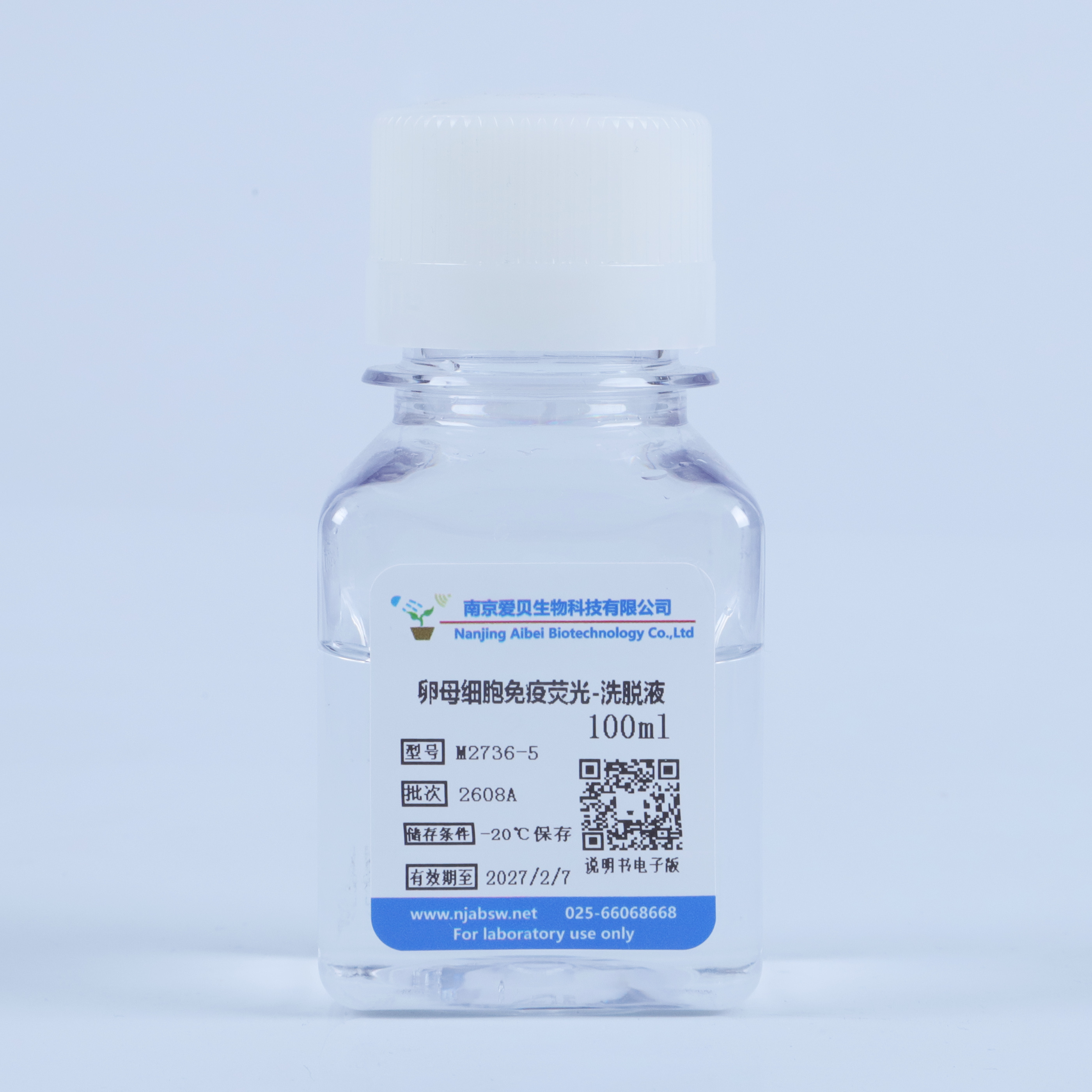 卵母细胞免疫荧光洗脱液
